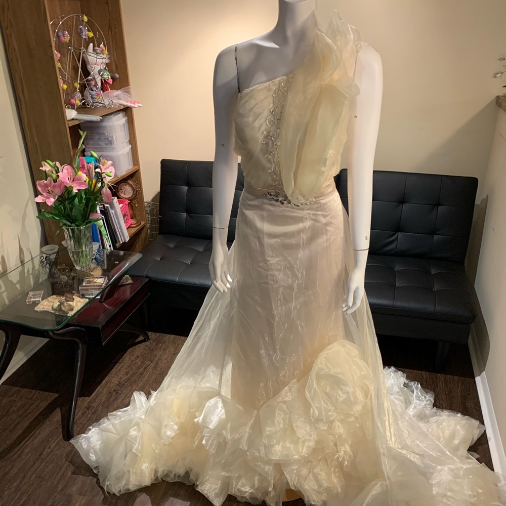 Formal Dress - Picture 3 of 8